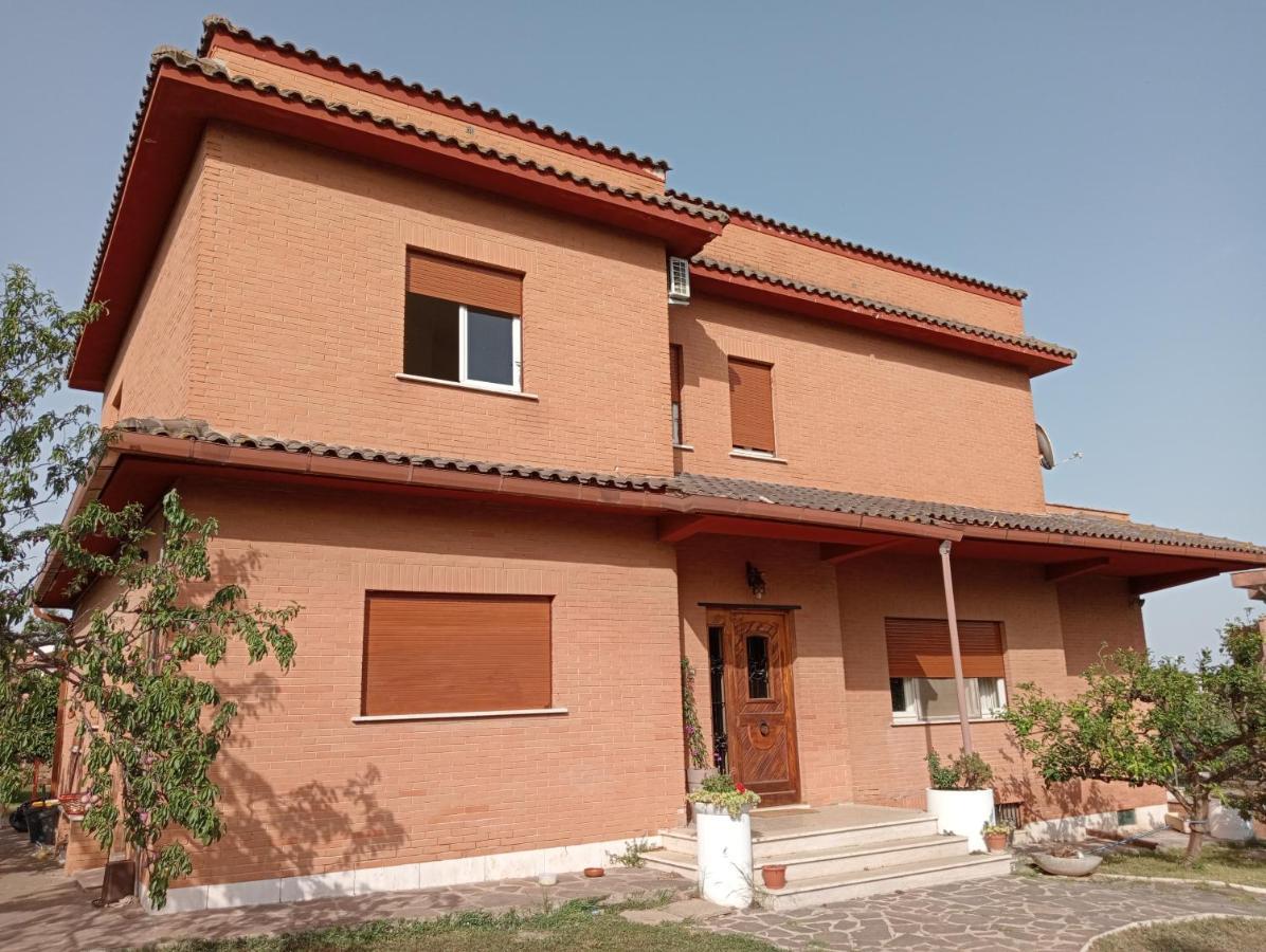 Da Piero E Gina Hotel Palidoro Ngoại thất bức ảnh