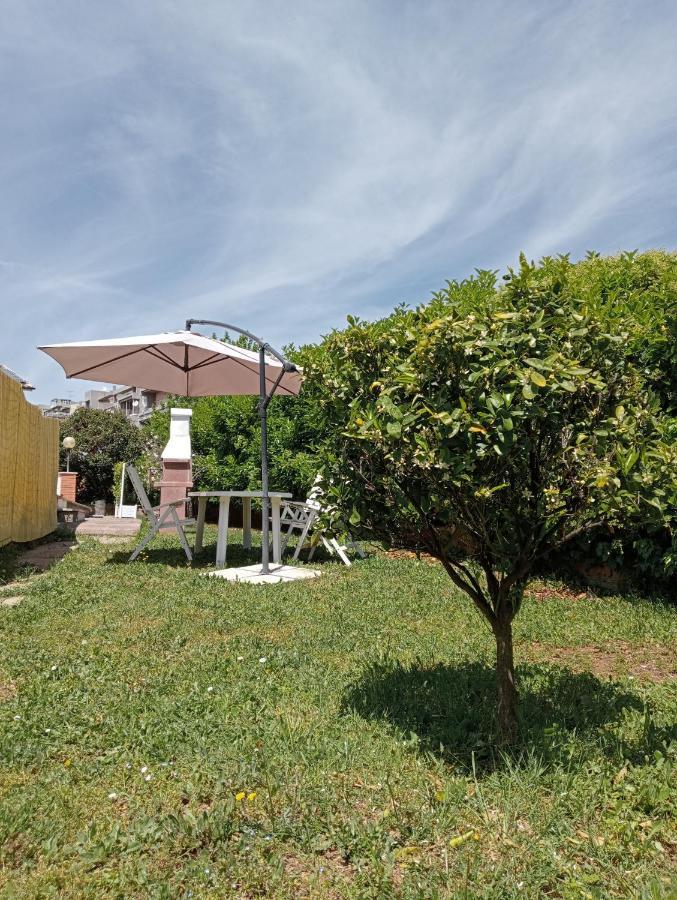 Da Piero E Gina Hotel Palidoro Ngoại thất bức ảnh